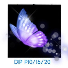 Paparan LED DIP P10